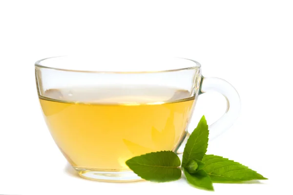 Стеклянная прозрачная чашка с чаем и зеленым мятным листом Стоковое Фото