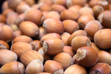 Birçok soyulmuş ela fındık - arka plan doğa