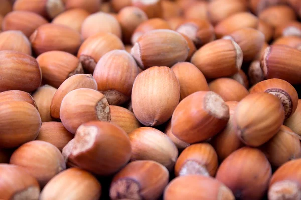 Many peeled hazel nuts - background of nature