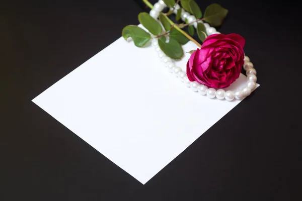 Hermosa rosa roja con perlas sobre papel blanco en blanco —  Fotos de Stock