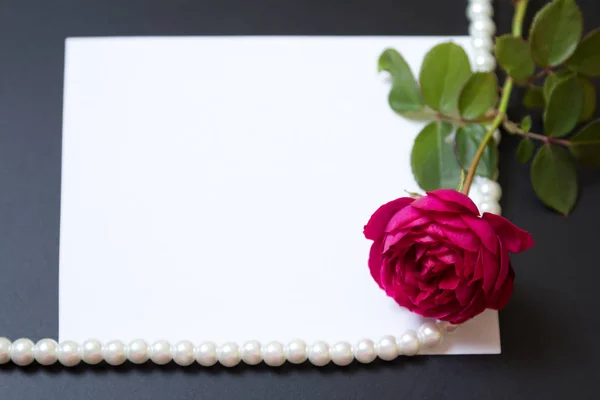 美丽的红玫瑰与珍珠空白白板纸上 — 图库照片