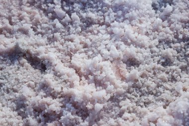 Doku çıkarma deniz tuzu yerinde tuz