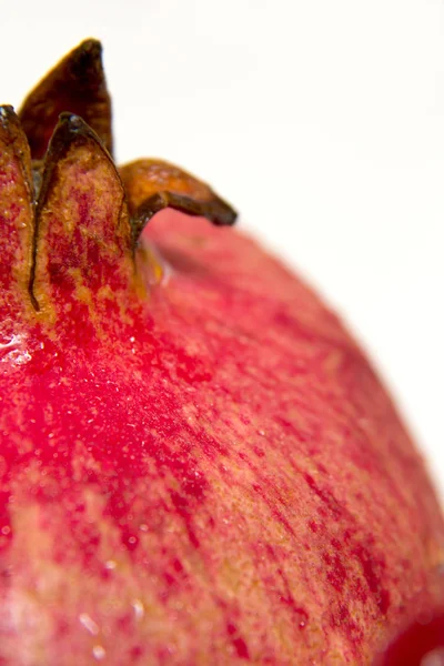 Fruits à la grenade purifiés sur fond blanc — Photo