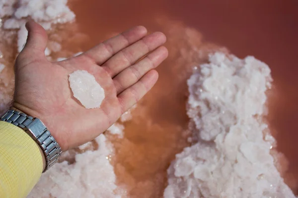Mão masculina pedaço de sal em água rosa - extração de sal marinho — Fotografia de Stock