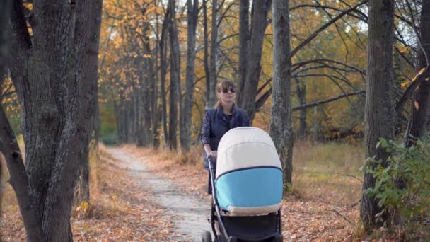 Junge Mutter mit Kinderwagen spaziert im Herbstpark. — Stockvideo