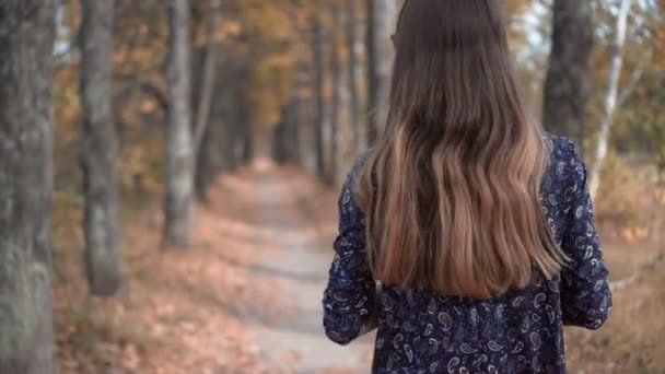 Elegáns fiatal női modell szemüveg és uborka ruha séta erdőben — Stock videók