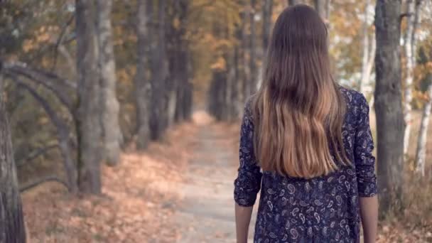 Elegante modelo femenino joven con gafas y vestido de pepino Walking Forest — Vídeo de stock