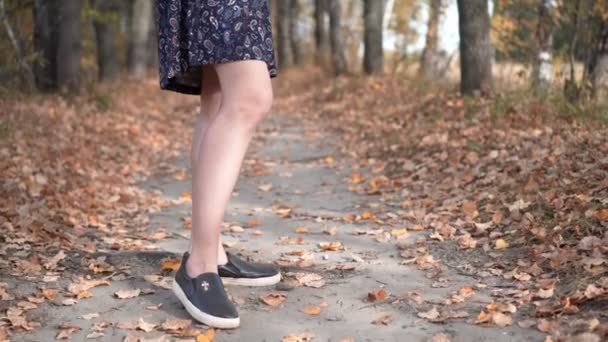 The girl in glasses standing in autumn forest. Panorama from toe to head. — Αρχείο Βίντεο