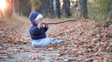 Ormandaki sopayla oynayan bebek. Düşen sonbahar yaprakları.