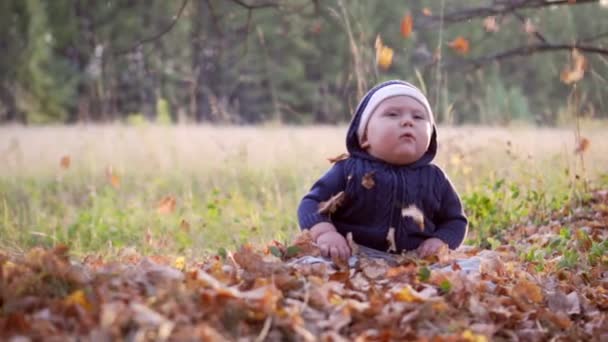 Baby i skogen. Fallande höstlöv. — Stockvideo