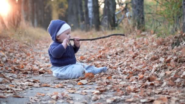 Baby playing with stick in the forest. Falling autumn leaves. — Stock video