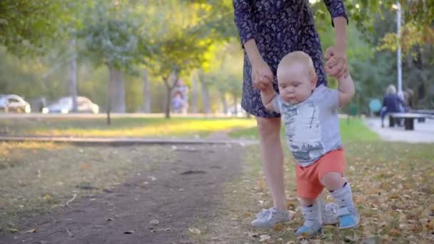 Das Kind macht die ersten Schritte, die Mutter hilft ihm. Herbstpark. — Stockvideo