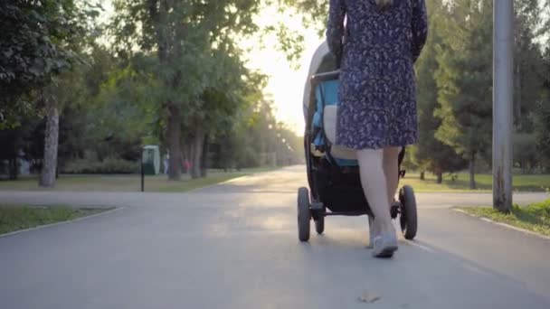 Mamma che cammina con una carrozzina nel parco. Autunno sfondo natura. Vista dal basso. Stedycam . — Video Stock