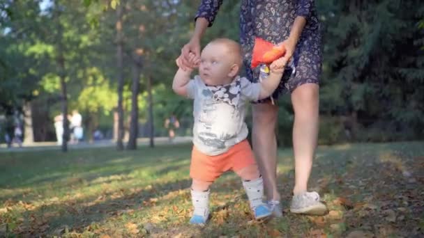 A criança dá os primeiros passos, a mãe ajuda-o. Parque de outono . — Vídeo de Stock