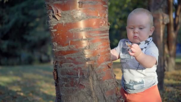 Дитина стоїть біля дерева і торкається його. Сльози гавкають . — стокове відео