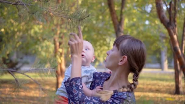 Mom shows son fir-tree. They touch the branches. — Stock Video