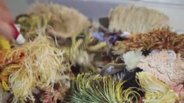 Konu ve süslemeleri ile kutu. O çekmek için ne seçer.