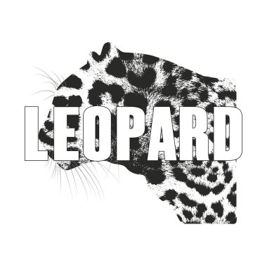Beyaz bir arka plan üzerinde izole leopar illüstrasyon vektör