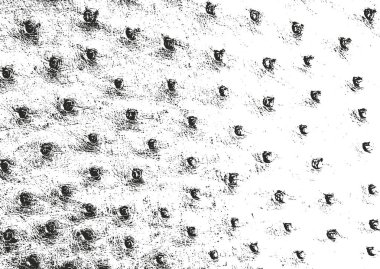 Sıkıntılı bindirme hayvan cilt dokusunu