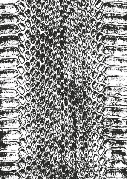 Texture de peau animale de superposition perturbée — Image vectorielle