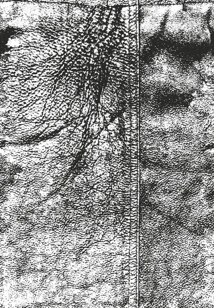 Textura superpuesta angustiada de cuero natural — Archivo Imágenes Vectoriales