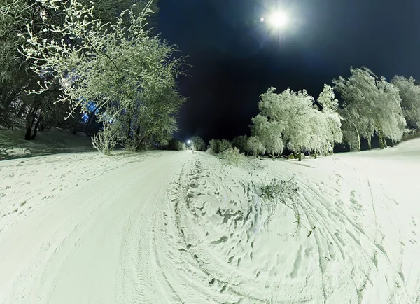Kurve Straße in den Bäumen mit Frost und Schnee in der Sieg bedeckt — Stockfoto
