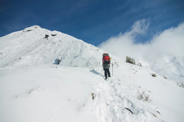 Woman tourist with a backpack climbs in snowy mountain — Φωτογραφία Αρχείου
