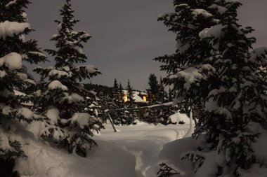 House Chalet ağaçlarda kar yağışı sırasında kış orman, Zen