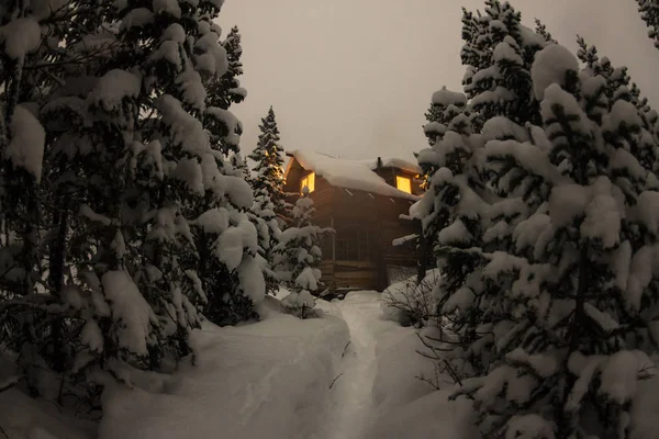 House Chalet during a snowfall in the trees winter forest at nig — Stock Photo, Image