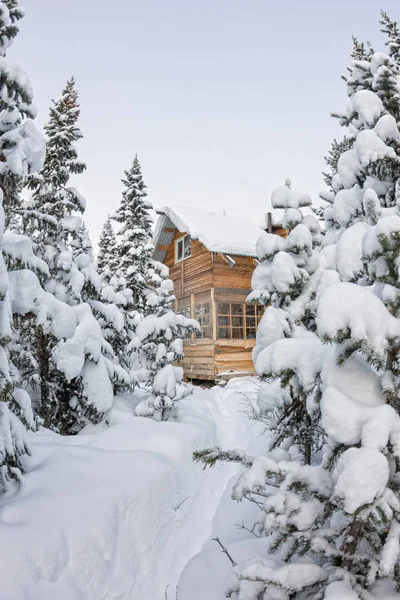 House under snow in winter wood chalet among spruce trees in the — Stock Photo, Image