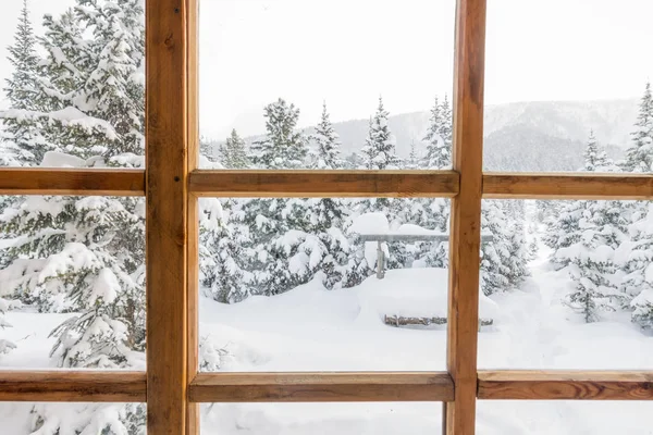 Arbres forestiers enneigés dans la neige à l'extérieur de la fenêtre avec un bois — Photo