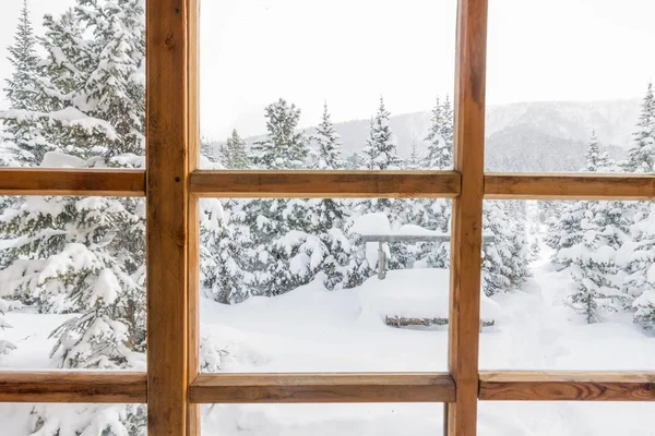 Snowy Orman ağaçları ile ahşap pencere dışında kar 