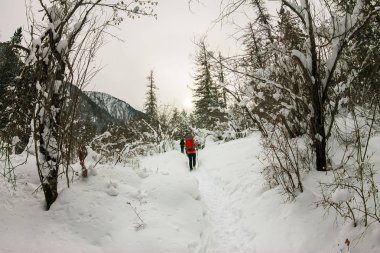 Kış ormanında bir orman yolda yürüyen kız backpacker
