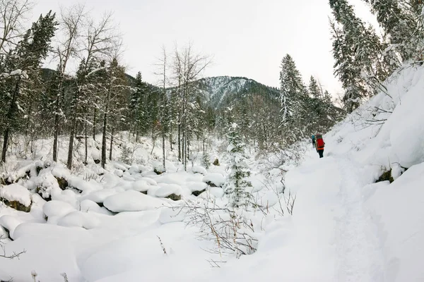 Backpacker-Mädchen zu Fuß auf einem Waldweg im Winterwald in — Stockfoto
