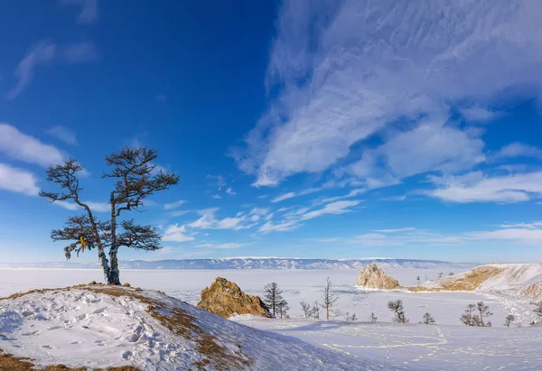 Panorama einsamer heiliger baum und felsen schamanka olkhon insel in lak — Stockfoto