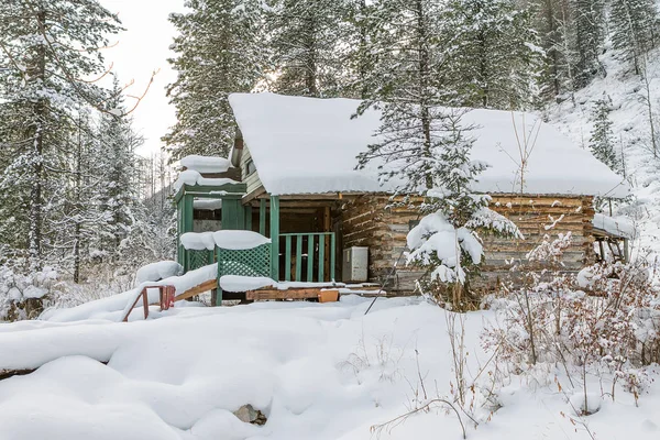 House under snow in winter wood chalet among spruce trees in the — Stock Photo, Image