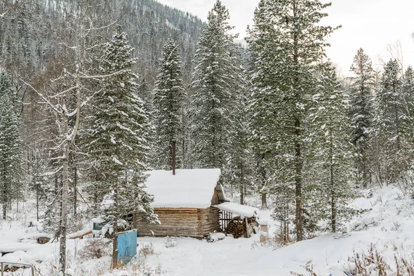 Maison sous neige dans chalet en bois d'hiver parmi les épinettes dans le — Photo