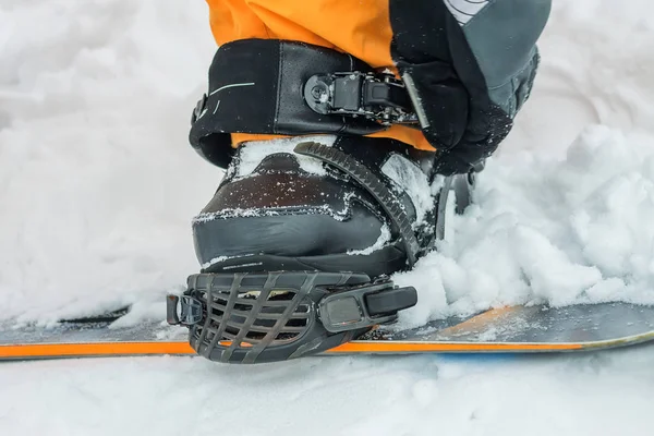 El hombre en botas negras botones de fijación snowboard —  Fotos de Stock