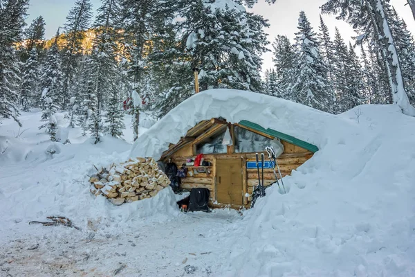 Chalets cabanes en forêt hivernale avec neige — Photo