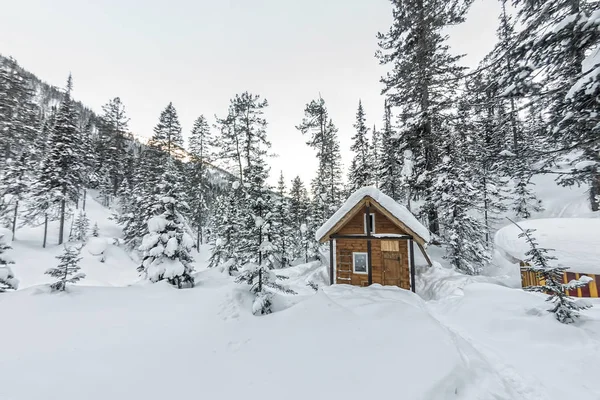 Chalets casa cabaña en bosque de invierno con nieve — Foto de Stock