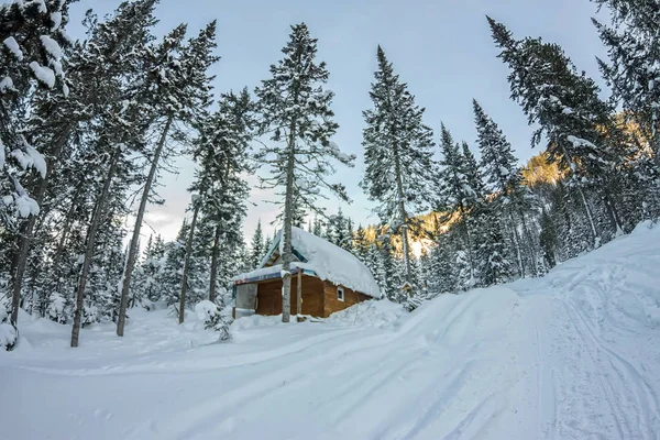 Chalets casa cabaña en bosque de invierno con nieve — Foto de Stock