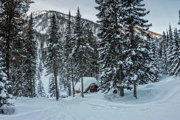 Cabin house chalets in winter forest with snow