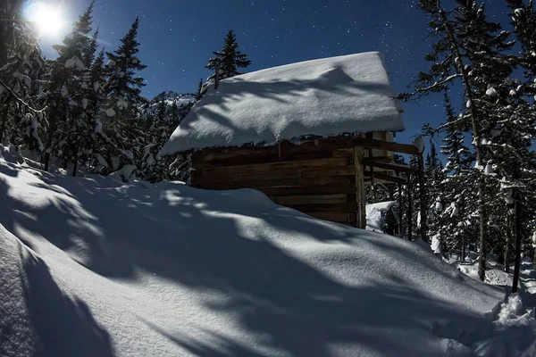 Cabin house chalets in winter forest with snow in light moon and
