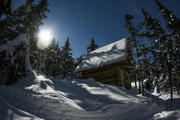 Cabin house chalets in winter forest with snow in light moon and