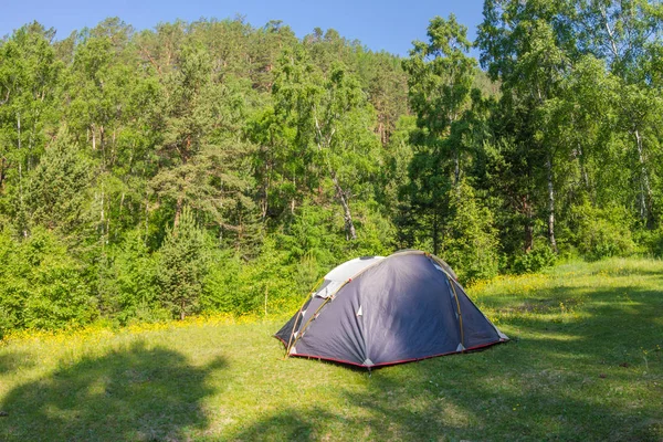 Zelt Auf Einer Blumenwiese Wald Baikalsee — Stockfoto