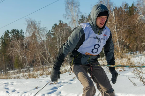 Irkutsk, Rusko - 28. ledna 2017: Závody pro psa s — Stock fotografie