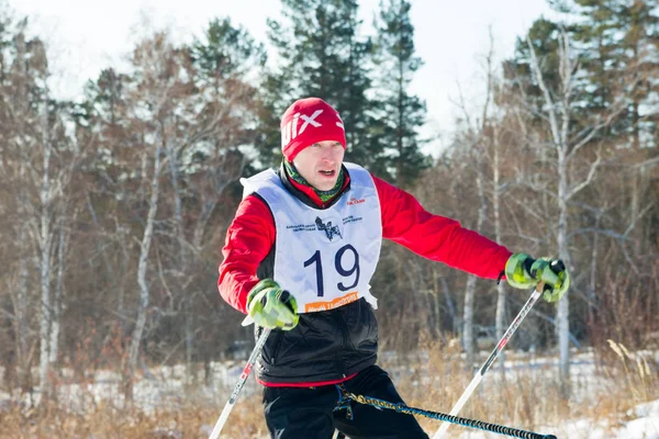 Irkutsk, Ryssland - 28 januari 2017: Racing tävling för hund s — Stockfoto