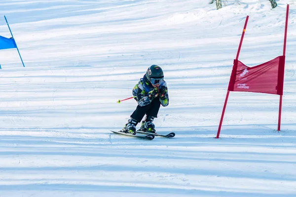 Irkoetsk, Rusland - 12 februari 2017: Slalom competitie snowboar — Stockfoto