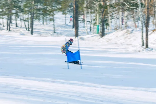 Irkutsk, Rússia - 12 de fevereiro de 2017: javali de neve da competição Slalom — Fotografia de Stock