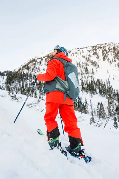 Freerider esquiador desciende de la montaña en la luz —  Fotos de Stock